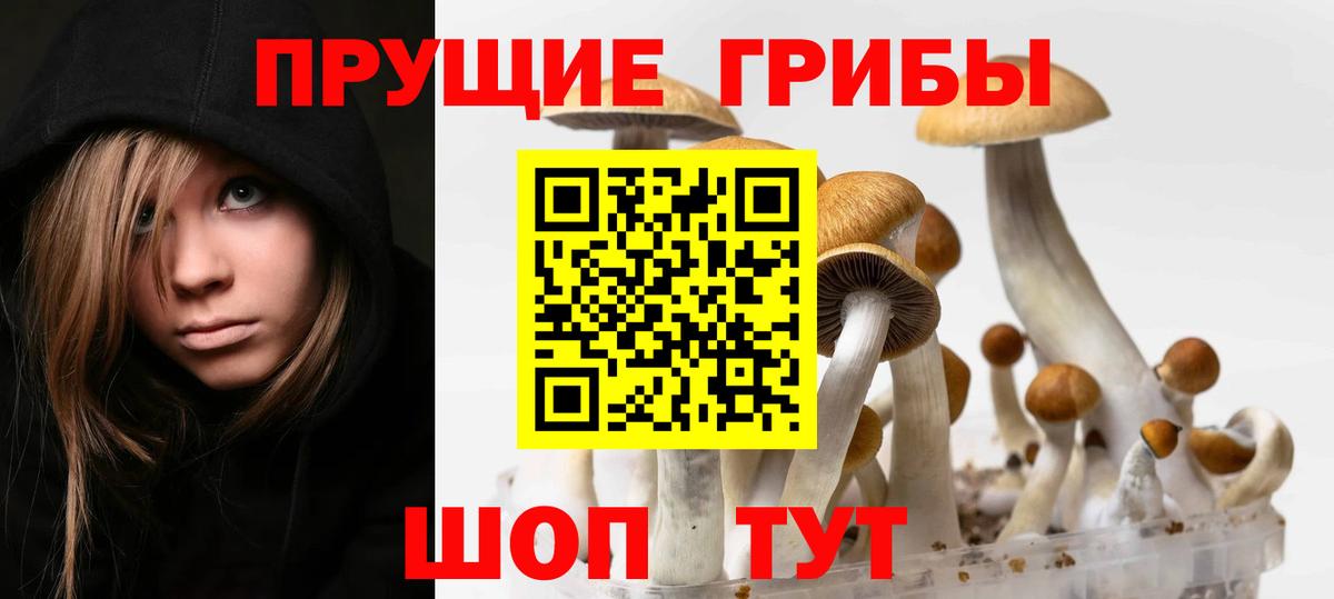 Туапсе  Псилоцибиновые грибы ЛСД  Вход с VPN 